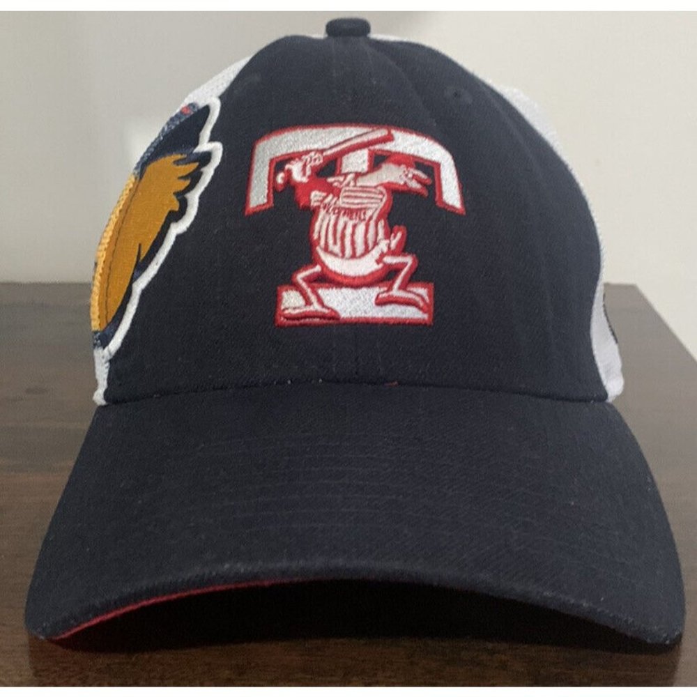 MiLB Toledo Mud Hens Hat New Era 39thirty Mesh Stretch Fit Cap Embroidered RARE!